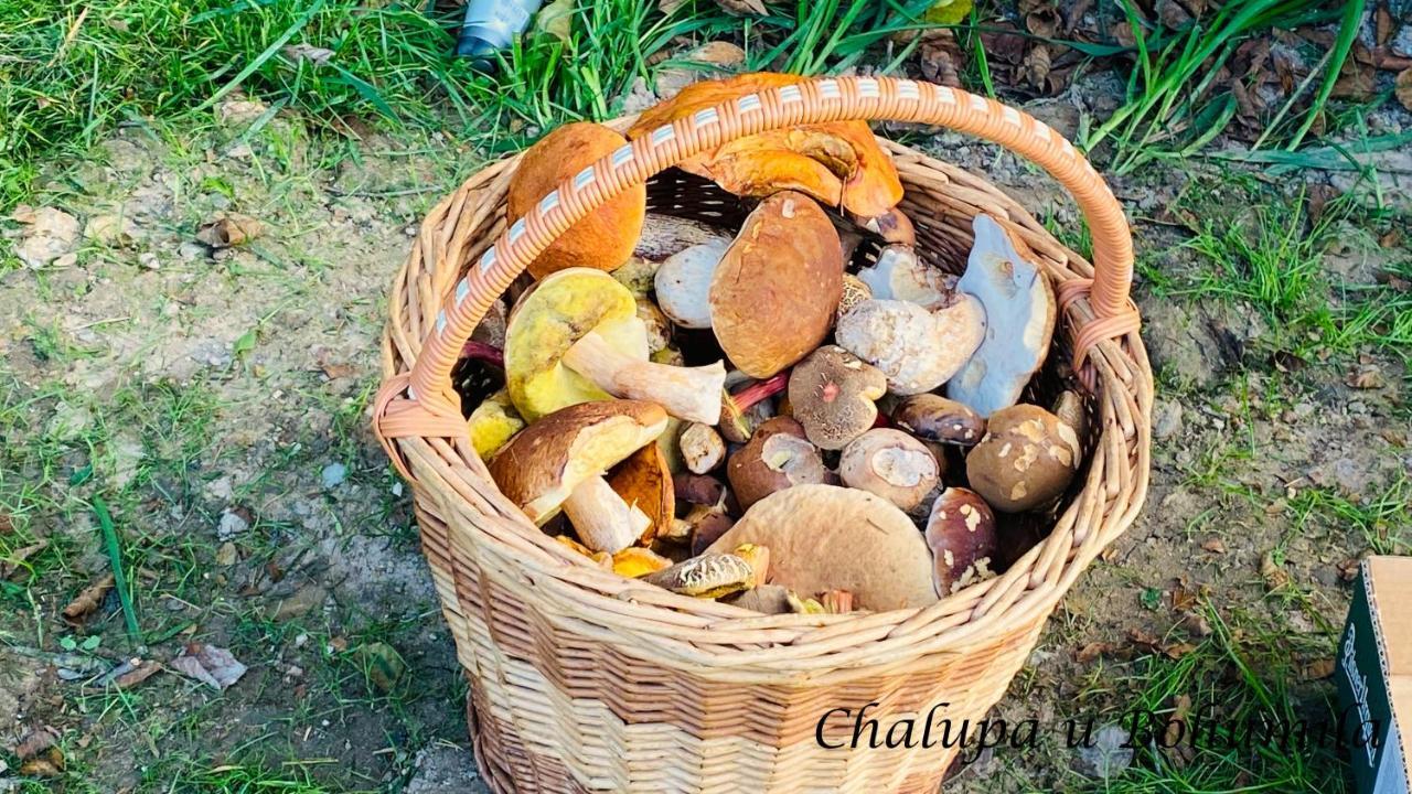 Chalupa U Bohumila Rybna nad Zdobnici Dış mekan fotoğraf