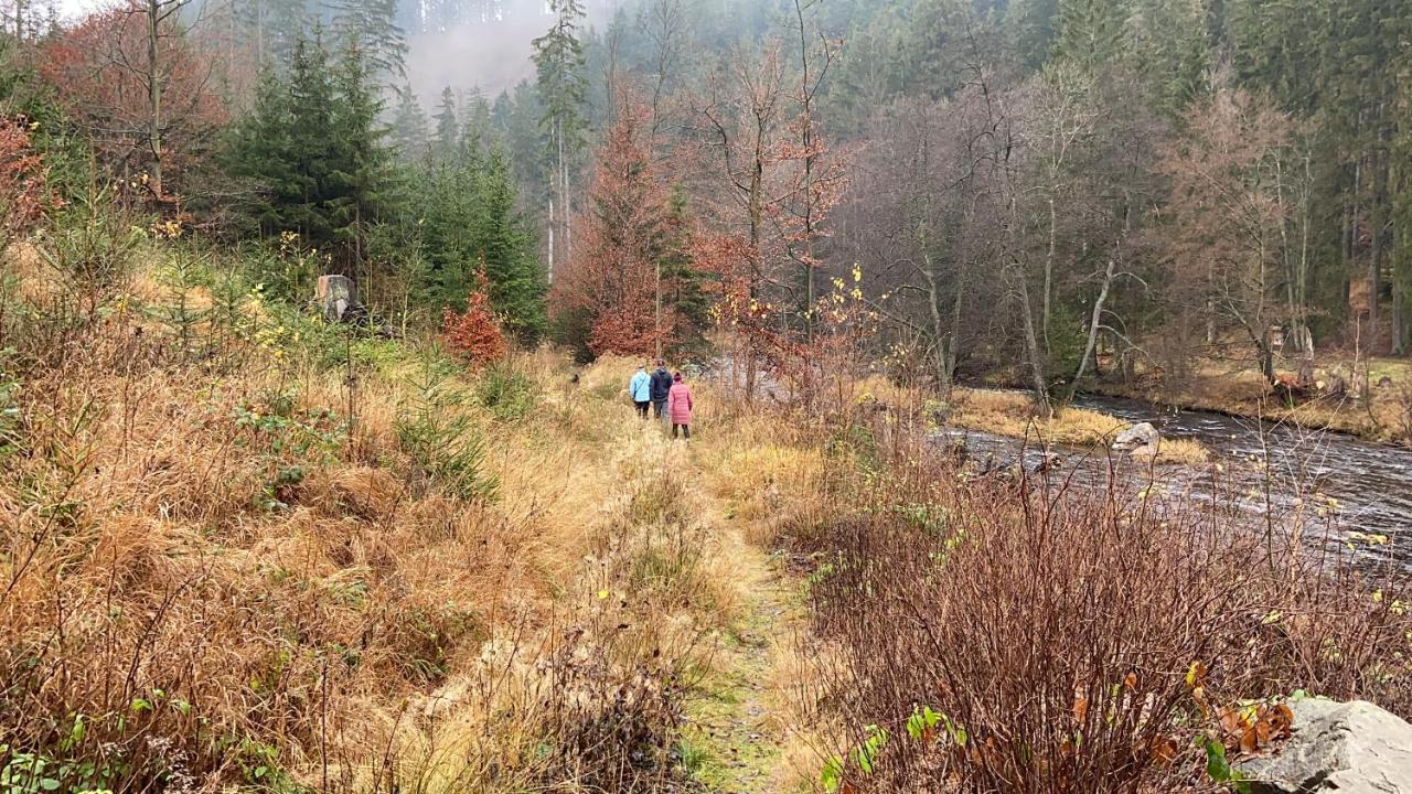 Chalupa U Bohumila Rybna nad Zdobnici Dış mekan fotoğraf