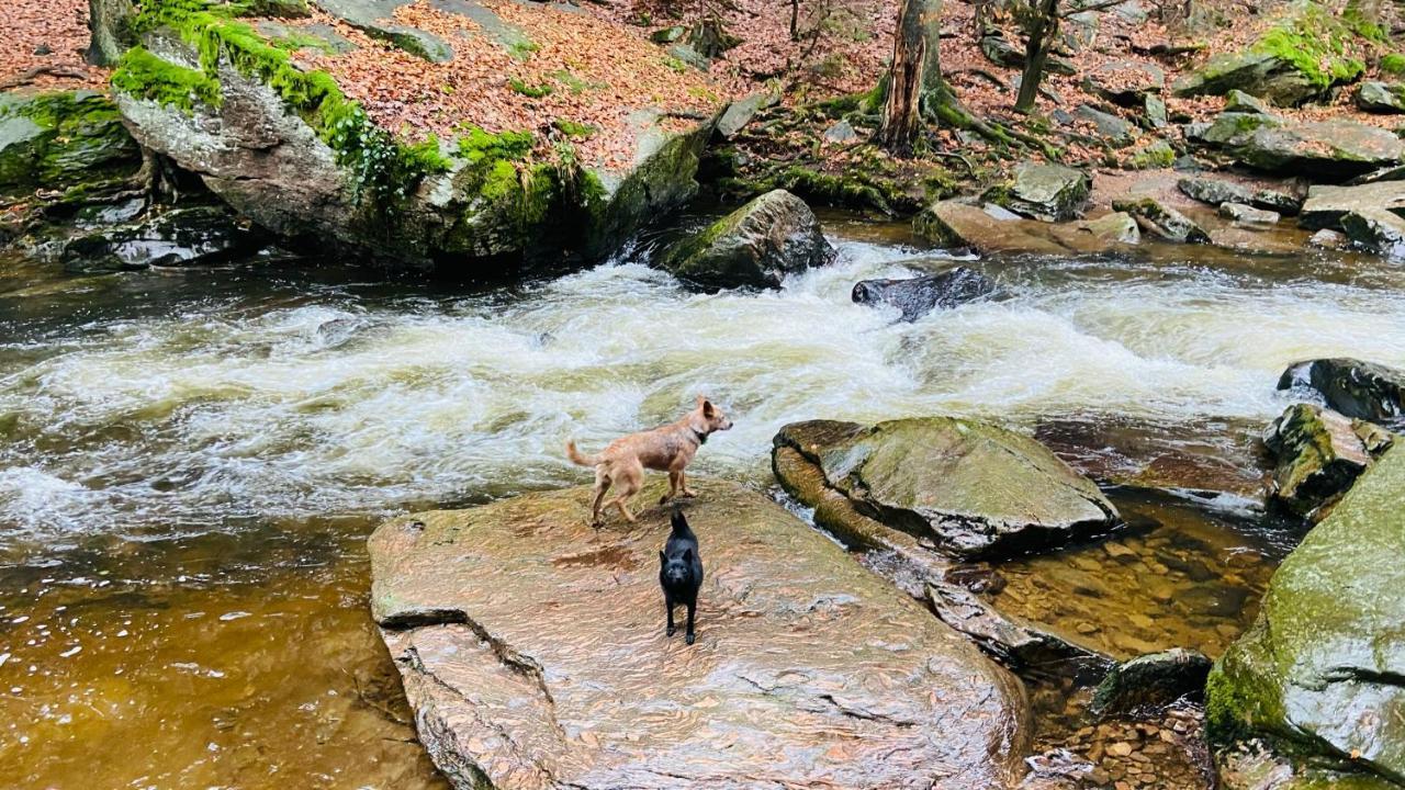 Chalupa U Bohumila Rybna nad Zdobnici Dış mekan fotoğraf
