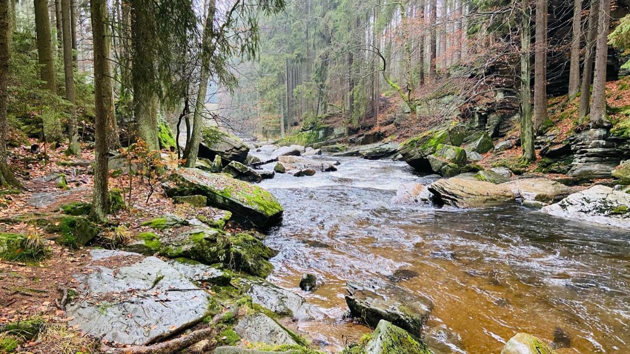 Chalupa U Bohumila Rybna nad Zdobnici Dış mekan fotoğraf